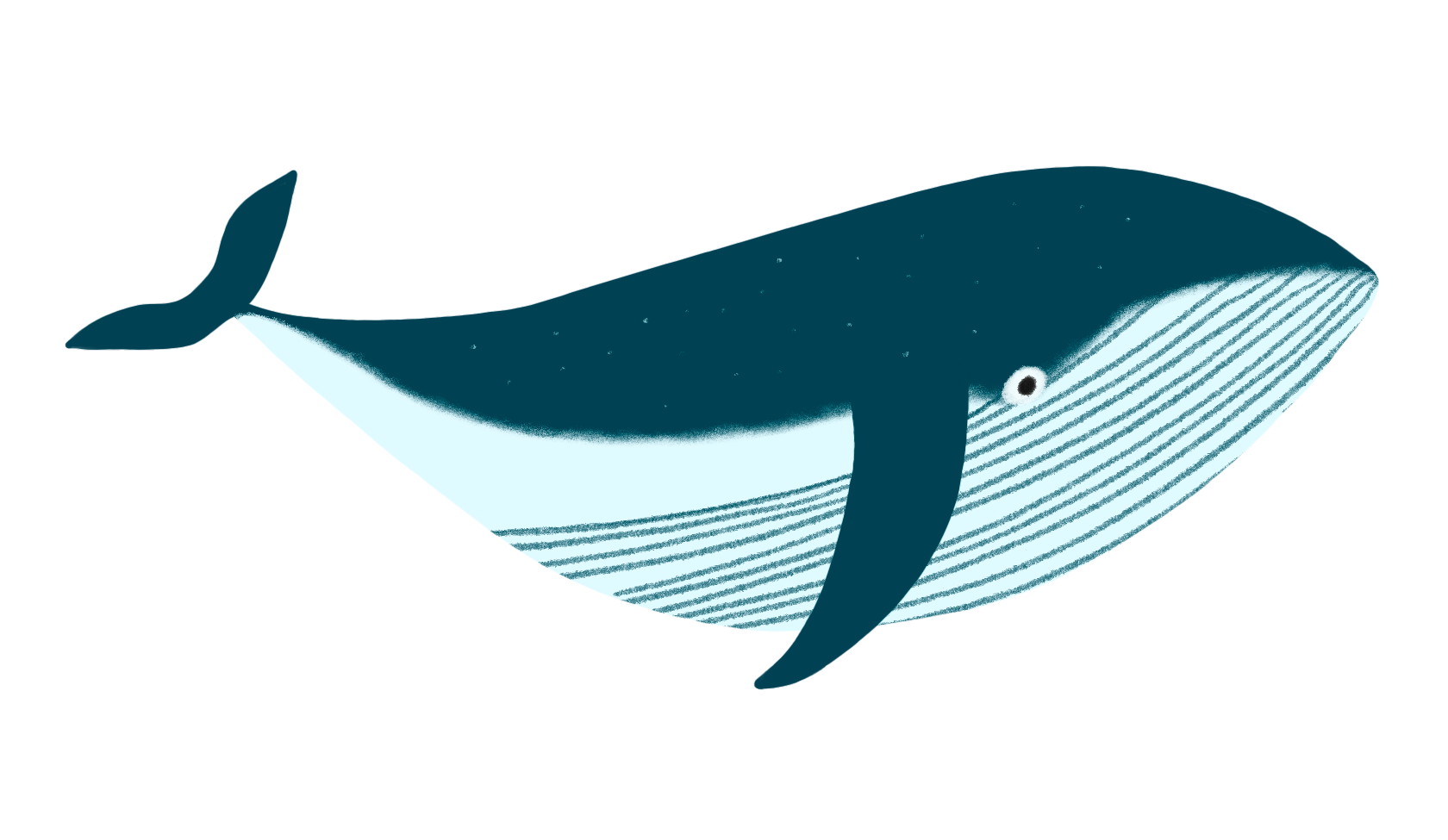 Riesiges blaues Tier mit Flossen und Streifen am Bauch.